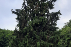 Ausflug-2026-12